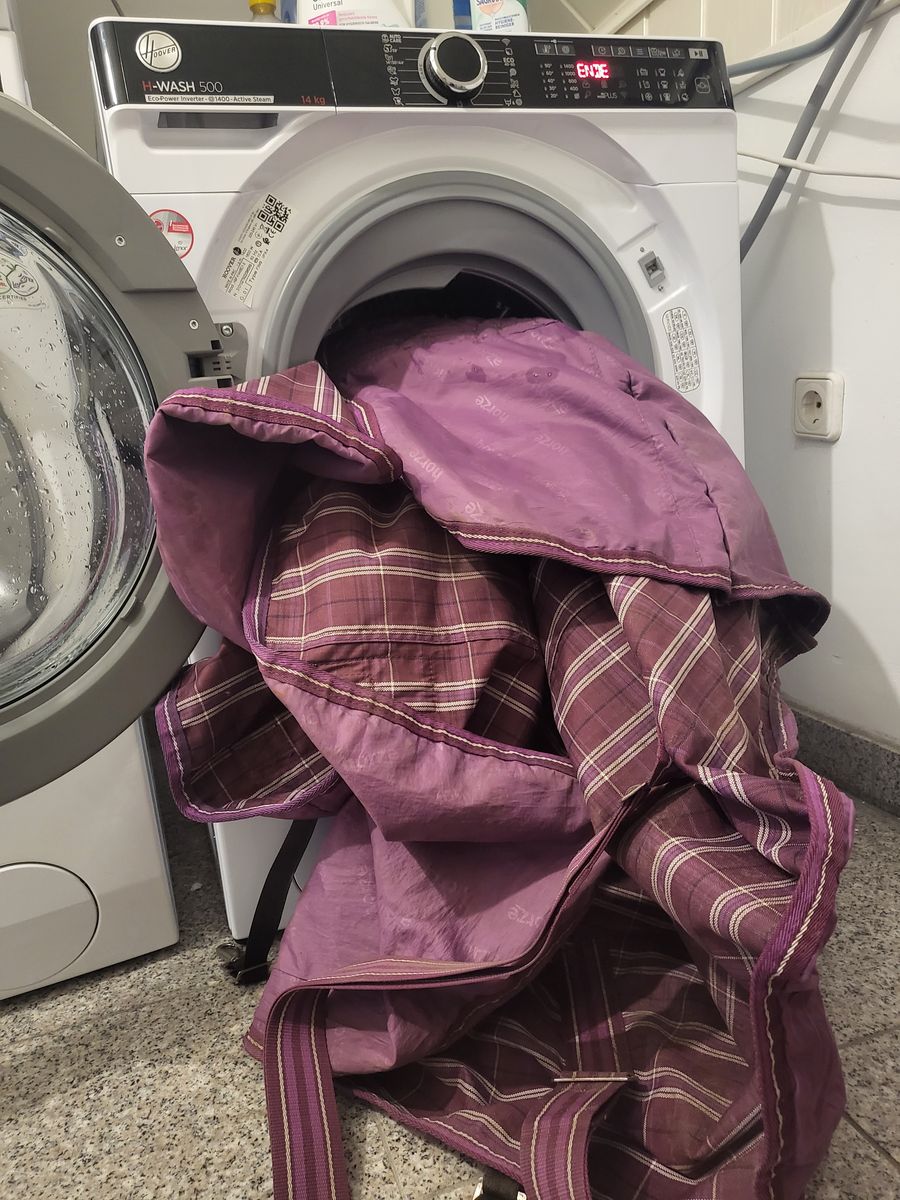 Die Pferdedecke wird in die Waschmaschine geladen