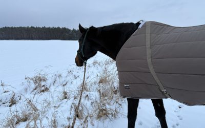 Frische Decken für den Winter: So läuft die Deckenwäsche bei mir ab