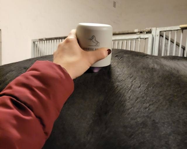 Hand auf einem Pferderücken bei der Massage